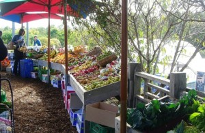 Organic market