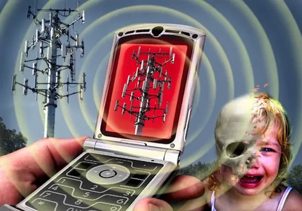 How The Bees Can Help with Cell Phone-Induced Bodily Harm