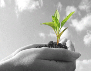 self sufficiency