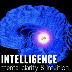 pineal