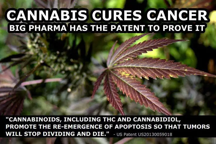 Cancer cure