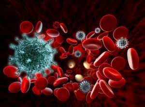 Immune System