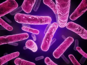 MRSA-bacteria