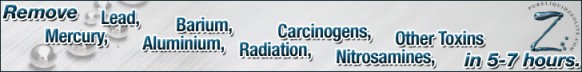 PLZ Article Banner