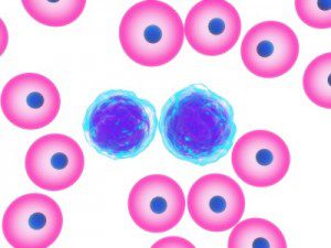 gmo_leukemia_link