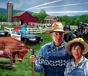 sugar-beets-monsanto-wins-again