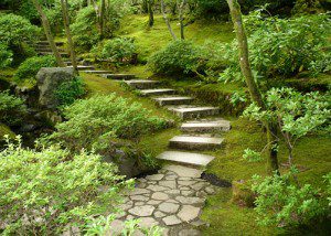 Peaceful Path