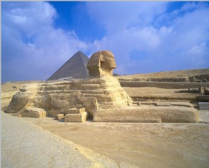 Sphynx
