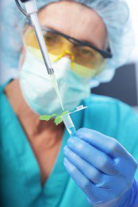bisphenols_food_supply