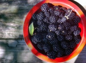 blackberry