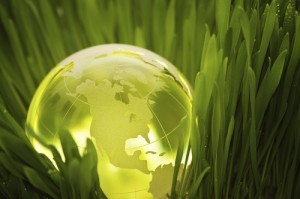 earth_grass
