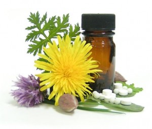 essential_oils_tea_tree - Copy