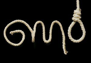 gmo noose