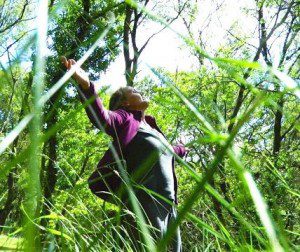 Lesley arms grass