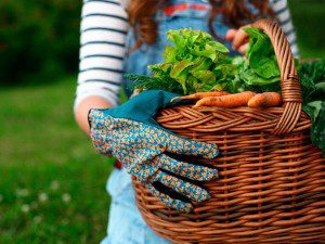 easy to grow veggies