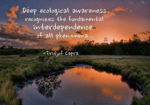 ecology