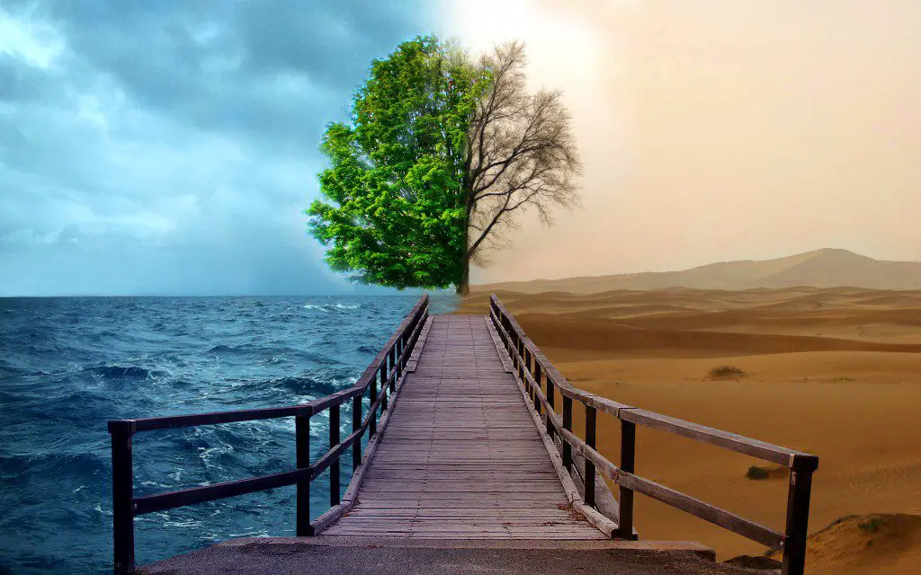 environment