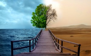 environment