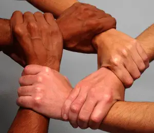 finding_your_tribe