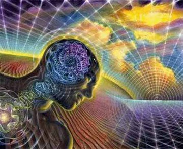 holographic reality