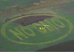 no-gmo