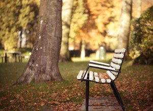 park bench 2
