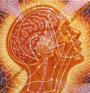 BODY, MIND, SPIRIT Detail:Center of 3 panels. SACRED MIRRORS, Alex Grey, 1985