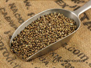 The Health Benefits of Hemp Seed