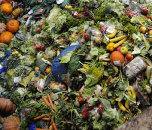 food-waste