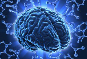 brain health