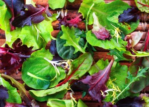 Leafy greens