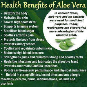 aloe_vera_benefits