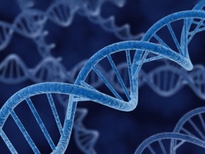 DNA strand