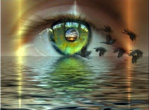 eye