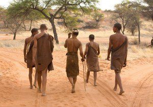 out of africa theory debunked