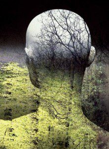 Ecology-Man