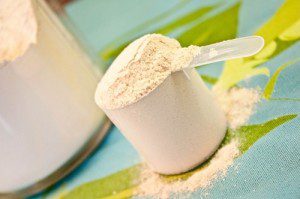 Protein Powder