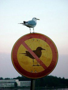 break rules