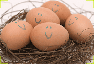 eggs