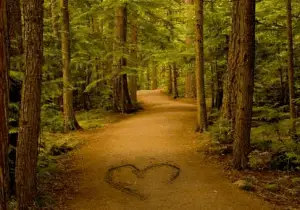 kicking stones - clearing the path to love