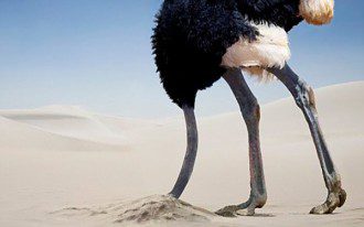 Bridging the Reality Gap - sensory Overload and the Ostrich Effect
