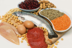 smart brain food - Protein