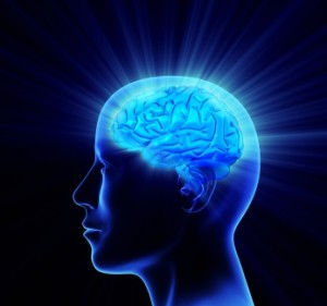 Study - Exercise Makes Your Brain Grow