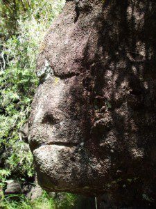 ape stone