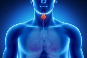 thyroid health - coconut oil - zeolite