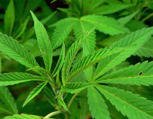The 10 Most Addictive Substances