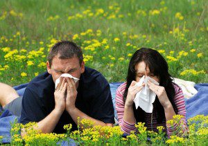 Natural ways to tame seasonal allergies