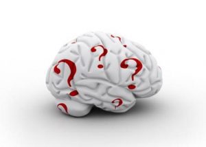 brain myths