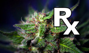 cannabis_kills_leukemia