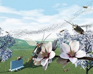 robo_bees
